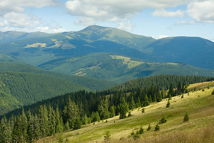 Верховина